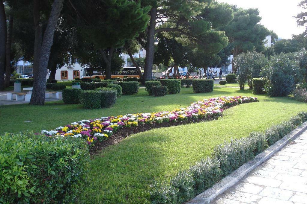 Guest house Root Dubrovnik